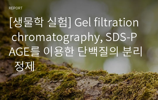 [생물학 실험] Gel filtration chromatography, SDS-PAGE를 이용한 단백질의 분리  정제