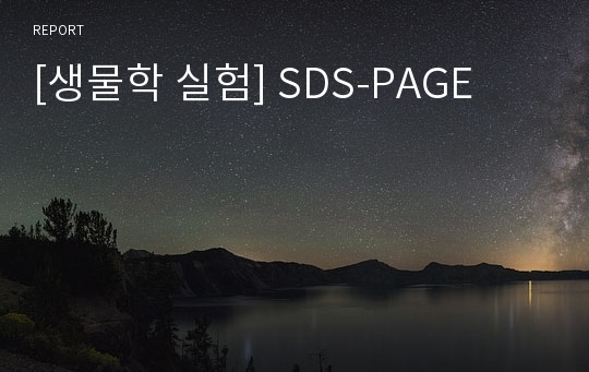[생물학 실험] SDS-PAGE