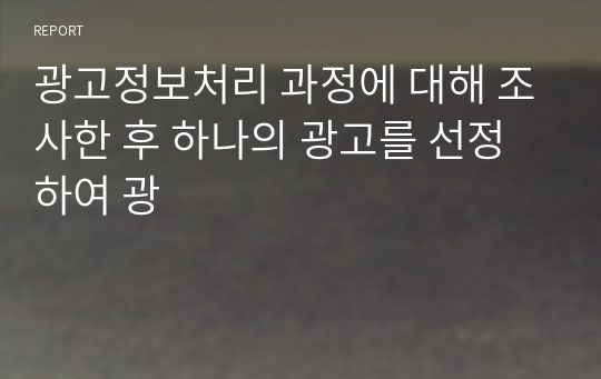 광고정보처리 과정에 대해 조사한 후 하나의 광고를 선정하여 광