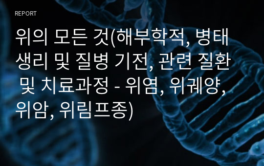 위의 모든 것(해부학적, 병태생리 및 질병 기전, 관련 질환 및 치료과정 - 위염, 위궤양, 위암, 위림프종)