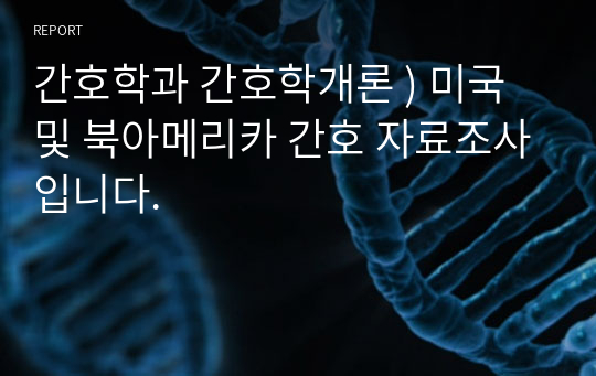 간호학과 간호학개론 ) 미국 및 북아메리카 간호 자료조사입니다.