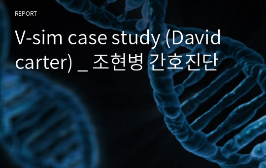 V-sim case study (David carter) _ 조현병 간호진단