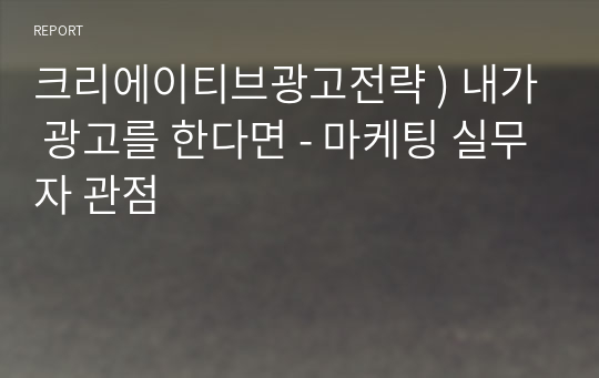 크리에이티브광고전략 ) 내가 광고를 한다면 - 마케팅 실무자 관점