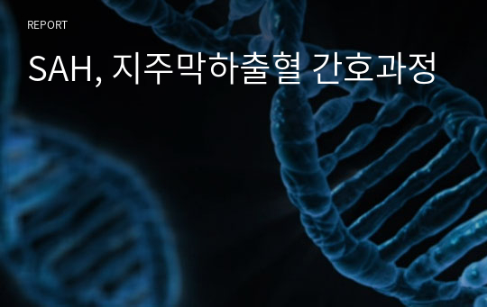 SAH, 지주막하출혈 간호과정