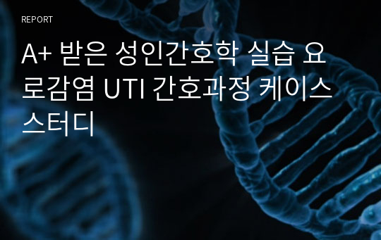 A+ 받은 성인간호학 실습 요로감염 UTI 간호과정 케이스스터디