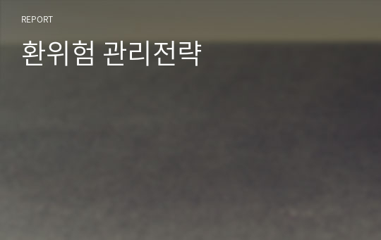 환위험 관리전략