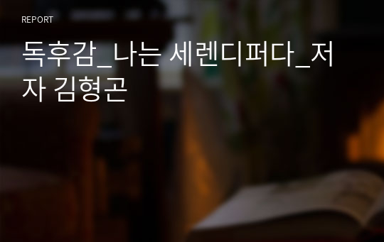 독후감_나는 세렌디퍼다_저자 김형곤