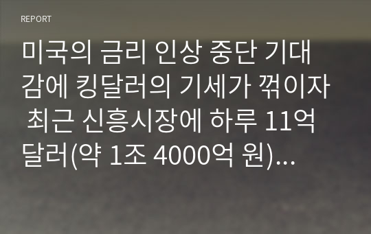 미국의 금리 인상 중단 기대감에 킹달러의 기세가 꺾이자 최근 신흥시장에 하루 11억 달러(약 1조 4000억 원)에 달하는 글로벌 자금이 몰리고 있다