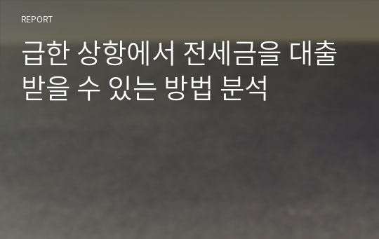 급한 상항에서 전세금을 대출받을 수 있는 방법 분석