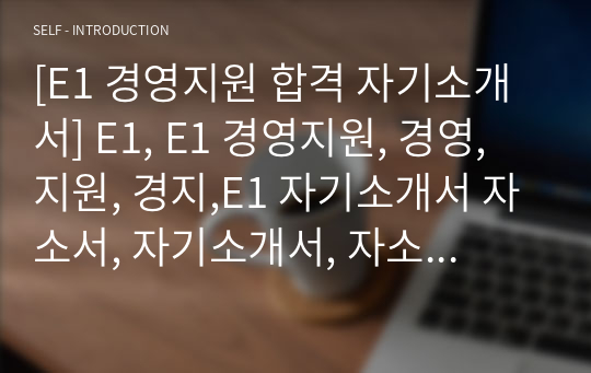 E1 경영지원 최종합격 자기소개서(자소서)