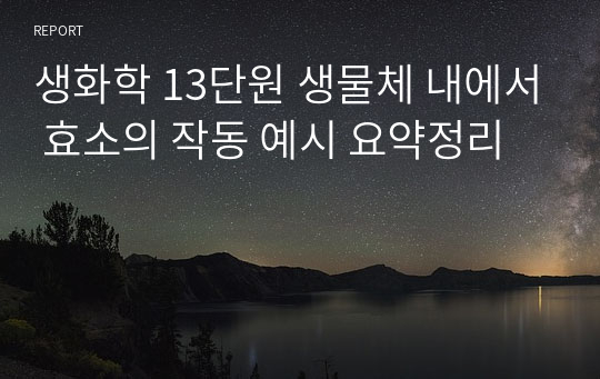 생화학 13단원 생물체 내에서 효소의 작동 예시 요약정리