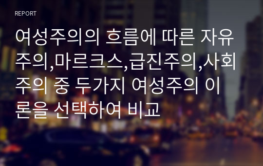 여성주의의 흐름에 따른 자유주의,마르크스,급진주의,사회주의 중 두가지 여성주의 이론을 선택하여 비교