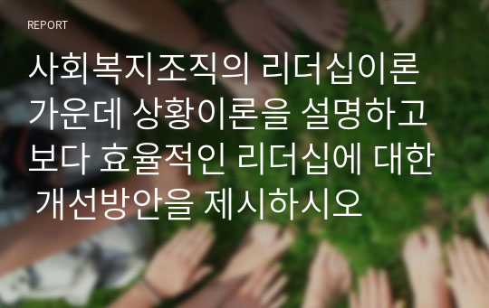 사회복지조직의 리더십이론 가운데 상황이론을 설명하고 보다 효율적인 리더십에 대한 개선방안을 제시하시오