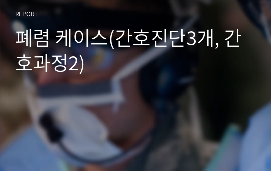 폐렴 케이스(간호진단3개, 간호과정2)