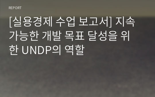 [실용경제 수업 보고서] 지속가능한 개발 목표 달성을 위한 UNDP의 역할