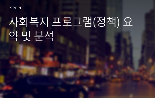 사회복지 프로그램(정책) 요약 및 분석