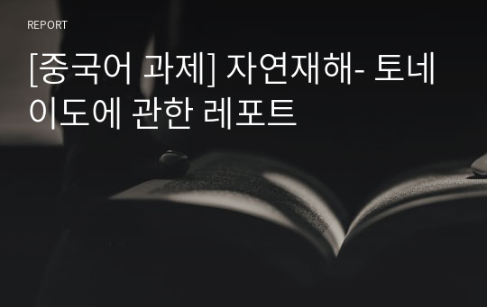 [중국어 과제] 자연재해- 토네이도에 관한 레포트