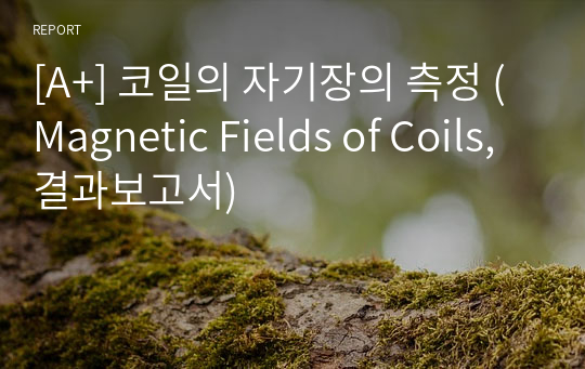 [A+] 코일의 자기장의 측정 (Magnetic Fields of Coils, 결과보고서)