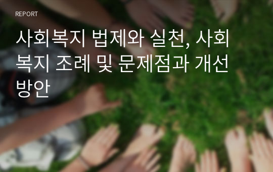 사회복지 법제와 실천, 사회복지 조례 및 문제점과 개선방안