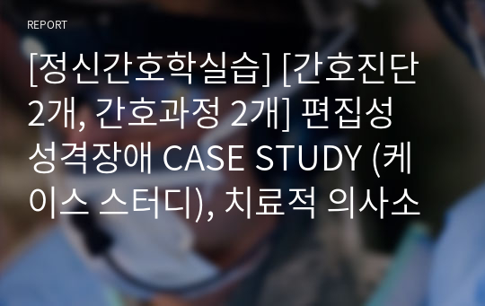 [정신간호학실습] [간호진단 2개, 간호과정 2개] 편집성 성격장애 CASE STUDY (케이스 스터디), 치료적 의사소통