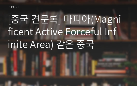 [중국 견문록] 마피아(Magnificent Active Forceful Infinite Area) 같은 중국