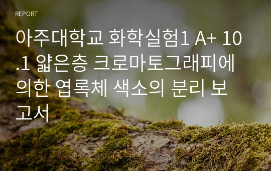 아주대학교 화학실험1 A+ 10.1 얇은층 크로마토그래피에 의한 엽록체 색소의 분리 보고서