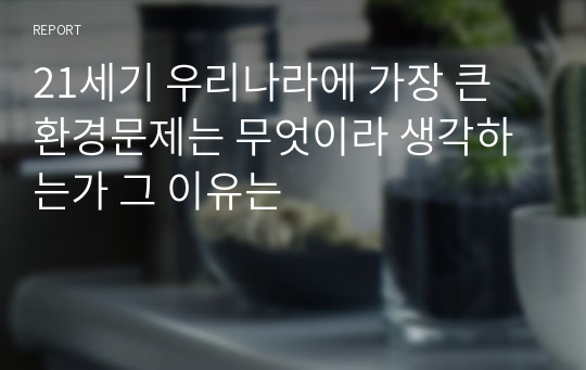 21세기 우리나라에 가장 큰 환경문제는 무엇이라 생각하는가 그 이유는