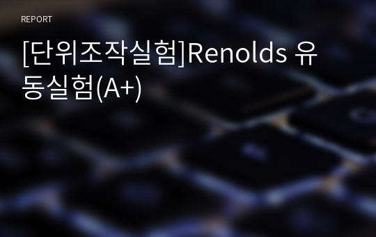 [단위조작실험]Renolds 유동실험(A+)