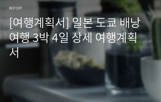 [여행계획서] 일본 도쿄 배낭여행 3박 4일 상세 여행계획서