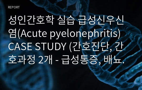 성인간호학 실습 급성신우신염(Acute pyelonephritis) CASE STUDY (간호진단, 간호과정 2개 - 급성통증, 배뇨장애)