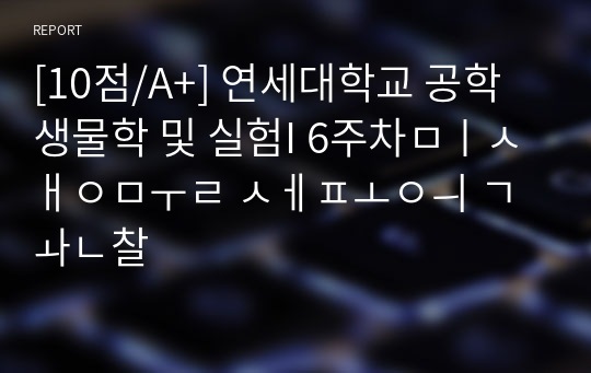 [10점/A+] 연세대학교 공학생물학 및 실험I 6주차미생물 세포의 관찰