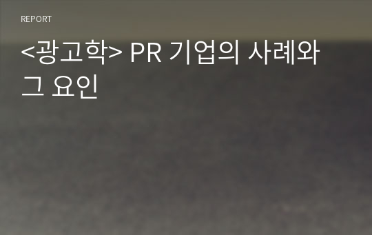 &lt;광고학&gt; PR 기업의 사례와 그 요인