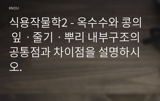 식용작물학2 - 옥수수와 콩의 잎ㆍ줄기ㆍ뿌리 내부구조의 공통점과 차이점을 설명하시오.