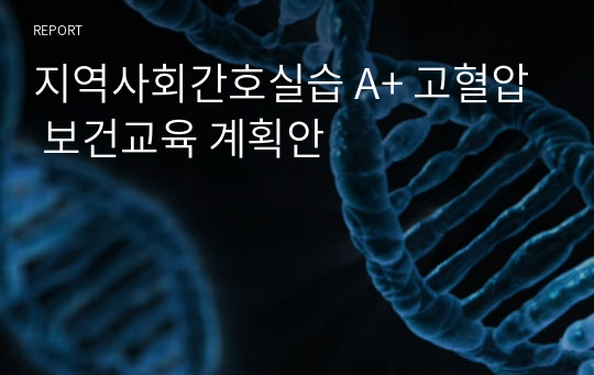 지역사회간호실습 A+ 고혈압 보건교육 계획안