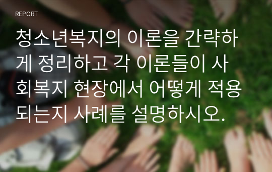 청소년복지의 이론을 간략하게 정리하고 각 이론들이 사회복지 현장에서 어떻게 적용되는지 사례를 설명하시오.