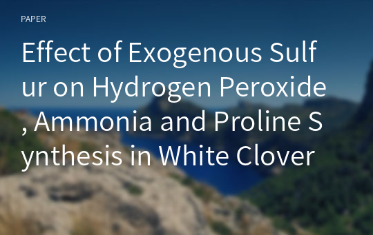 Effect of Exogenous Sulfur on Hydrogen Peroxide, Ammonia and Proline Synthesis in White Clover (Trifolium repens L.)
