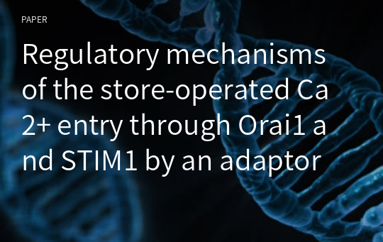 Regulatory mechanisms of the store-operated Ca2+ entry through Orai1 and STIM1 by an adaptor protein in non-excitable cells