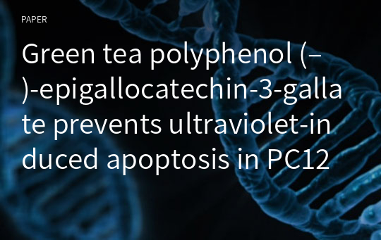 Green tea polyphenol (–)-epigallocatechin-3-gallate prevents ultraviolet-induced apoptosis in PC12 cells