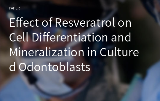 Effect of Resveratrol on Cell Differentiation and Mineralization in Cultured Odontoblasts