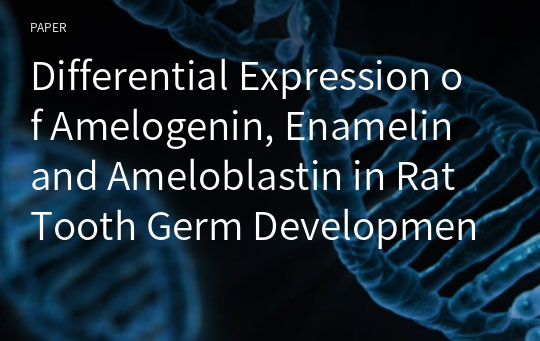 Differential Expression of Amelogenin, Enamelin and Ameloblastin in Rat Tooth Germ Development