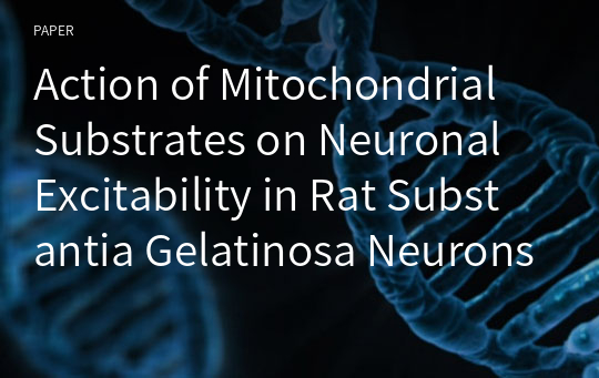 Action of Mitochondrial Substrates on Neuronal Excitability in Rat Substantia Gelatinosa Neurons