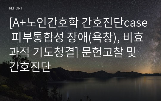 [A+받은 노인간호학 간호진단 욕창, 간호과정 케이스스터디, 간호중재 실습스터디 부동에 의한 피부통합성 장애(욕창), 간호진단 비효과적 기도청결] 문헌고찰 및 간호진단