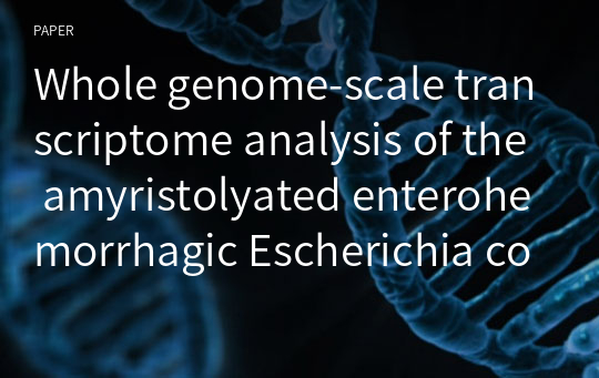 Whole genome-scale transcriptome analysis of the amyristolyated enterohemorrhagic Escherichia coli O157:H7