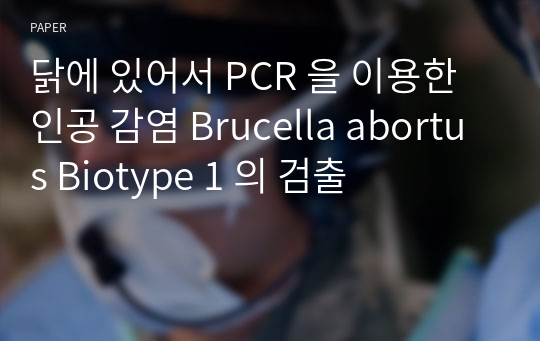 닭에 있어서 PCR 을 이용한 인공 감염 Brucella abortus Biotype 1 의 검출