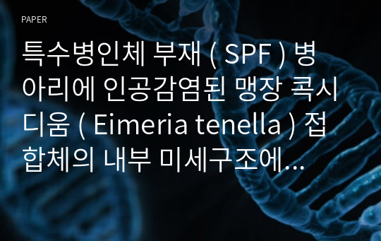 특수병인체 부재 ( SPF ) 병아리에 인공감염된 맹장 콕시디움 ( Eimeria tenella ) 접합체의 내부 미세구조에 대한 전자현미경학적 관찰