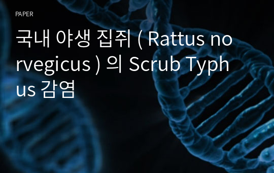 국내 야생 집쥐 ( Rattus norvegicus ) 의 Scrub Typhus 감염