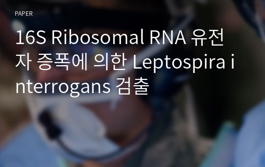 16S Ribosomal RNA 유전자 증폭에 의한 Leptospira interrogans 검출