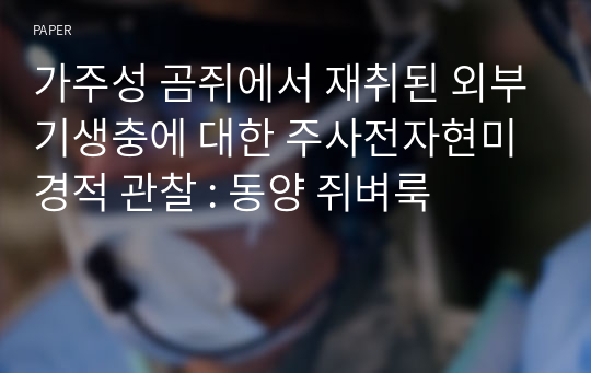 가주성 곰쥐에서 재취된 외부기생충에 대한 주사전자현미경적 관찰 : 동양 쥐벼룩