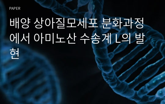 배양 상아질모세포 분화과정에서 아미노산 수송계 L의 발현