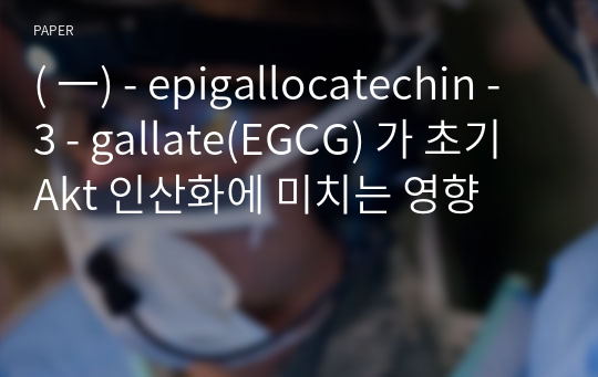 ( 一) - epigallocatechin - 3 - gallate(EGCG) 가 초기 Akt 인산화에 미치는 영향